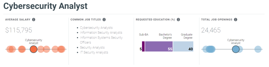 Cybersecurity analyst salary 2024