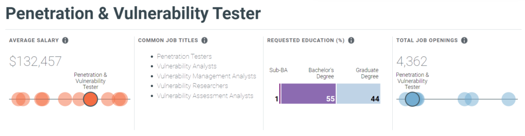 Penetration & Vulnerability Tester salary 2024